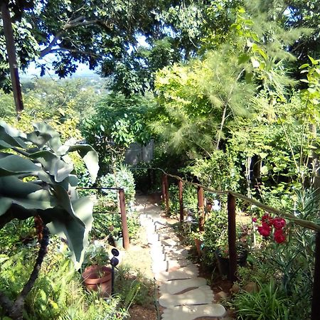 Pumba'S Lookout Villa บาร์เบอร์ตัน ภายนอก รูปภาพ