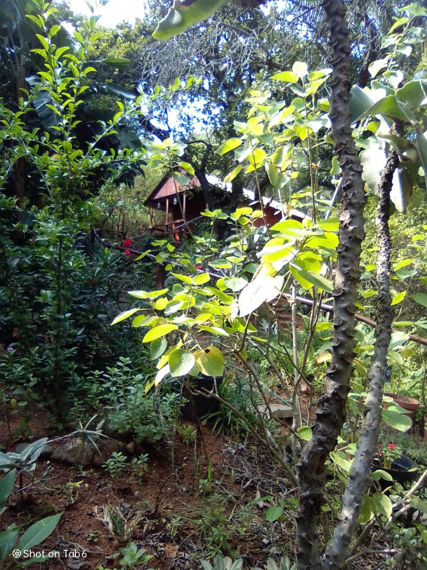 Pumba'S Lookout Villa บาร์เบอร์ตัน ภายนอก รูปภาพ