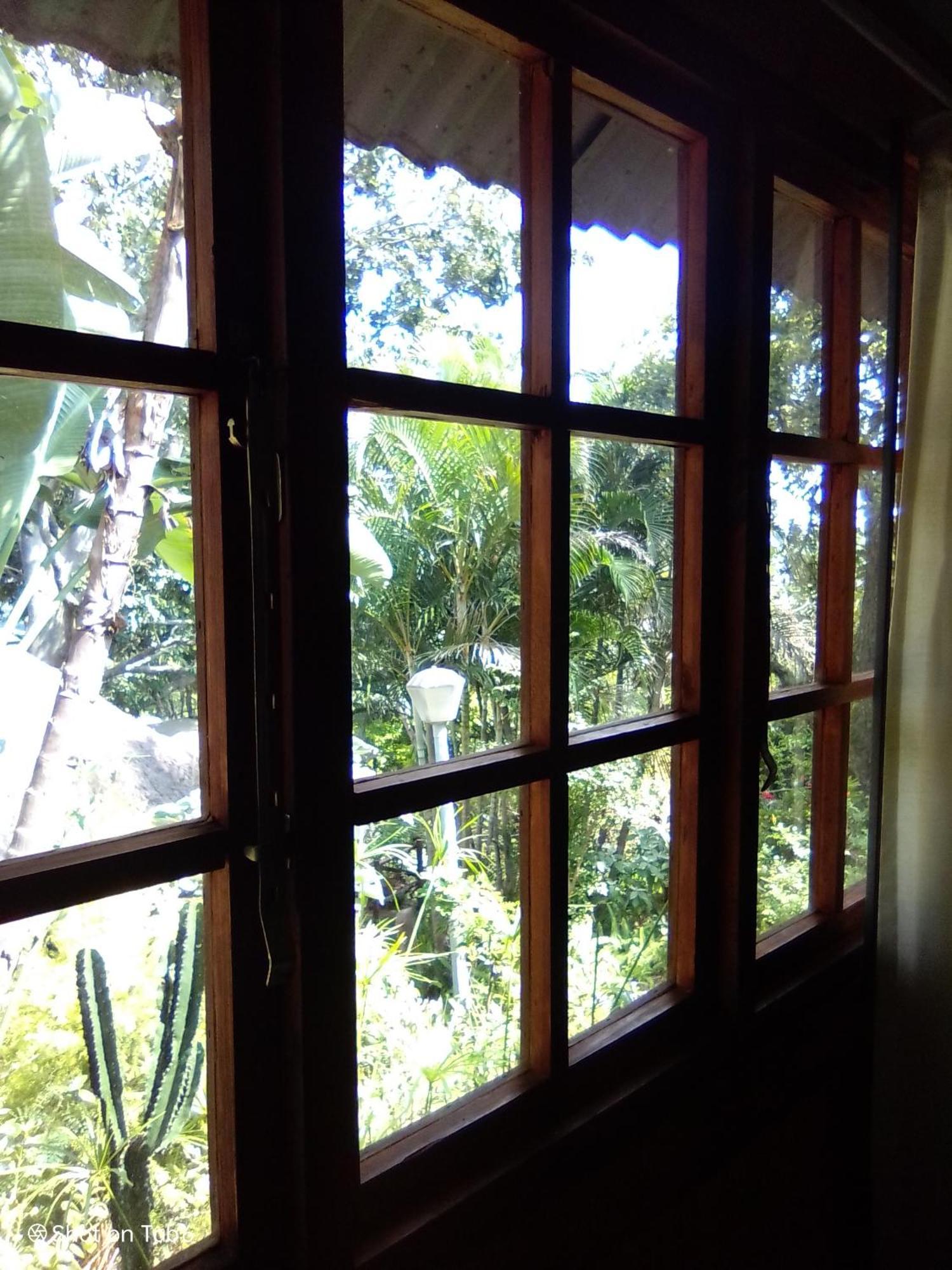 Pumba'S Lookout Villa บาร์เบอร์ตัน ภายนอก รูปภาพ